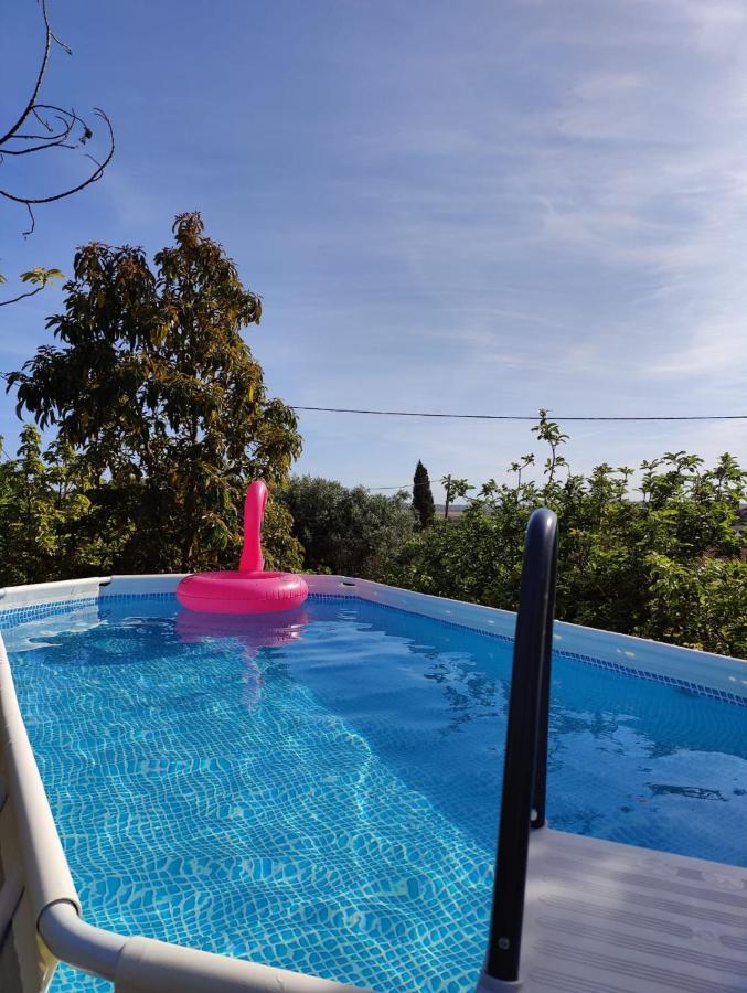 Casa Amarela-Tiny House With Fantastic View-Pool And Close To The Beaches Silves Buitenkant foto